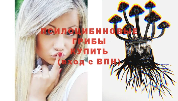 гидропоника Абдулино