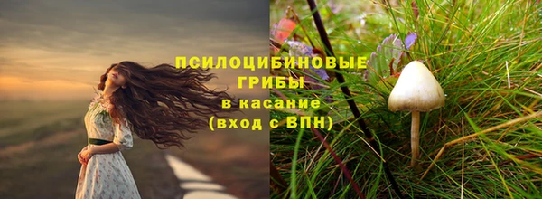 каннабис Абаза