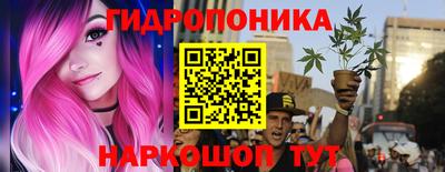 a pvp Рязань
