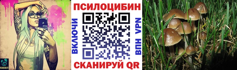 мориарти телеграм  Партизанск  Галлюциногенные грибы MAGIC MUSHROOMS 